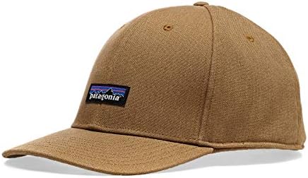 Patagonia Insulated Tin Shed Cap: Buy 