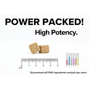 Premium Dog Allergy Support Supplement with Natural Ingredients – Advanced Pet Allergy Relief for Dog Immunity Support and Respiratory Health – 90 Dog Chews Premium Dog Allergy Support Supplement with Natural Ingredients – Advanced Pet Allergy Relief for Dog Immunity Support and Respiratory Health – 90 Dog Chews