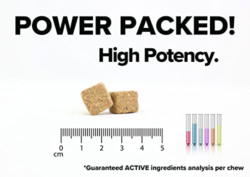 Premium Dog Allergy Support Supplement with Natural Ingredients – Advanced Pet Allergy Relief for Dog Immunity Support and Respiratory Health – 90 Dog Chews Premium Dog Allergy Support Supplement with Natural Ingredients – Advanced Pet Allergy Relief for Dog Immunity Support and Respiratory Health – 90 Dog Chews
