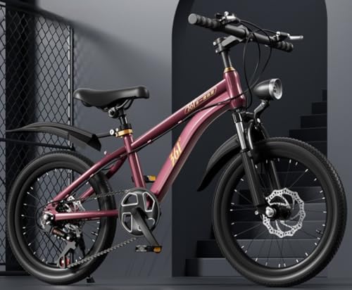 マウンテンバイク 24インチ 子供」の人気商品一覧 | 安い商品を通販