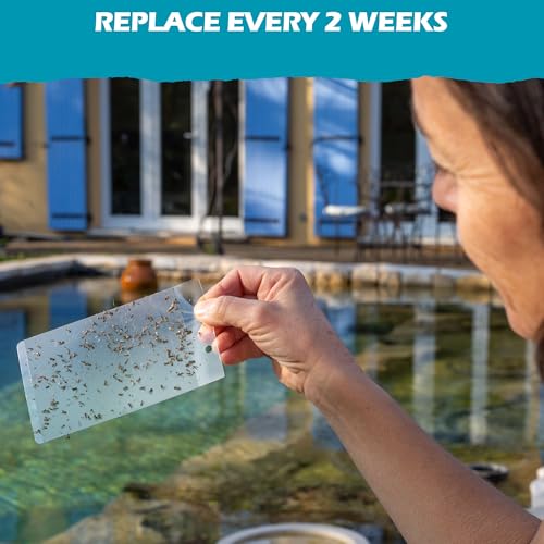 Mostiky: 30 sticky cards compatible with Biogents BG-GAT. Pack of 30 sticky cards to catch tiger mosquitoes before they lay their eggs.