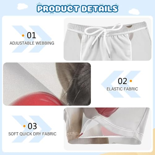 Boys Swim Trunks Quick Dry Bathing Suit Animal Boxing Gloves Toddler Swim Shorts Swimwear 3t3