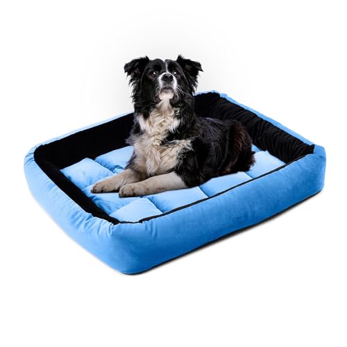 Image of Reversible Rectangle Dog Bed | Small 50 X 65 Cm Pet Bed for Puppies and Cats | Premium Velvet, Washable Fabric | Soft Sofa-Style Bed for Dog with Thick 15 Cm Insert | Black & Sky Blue