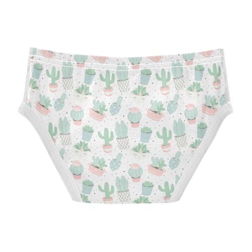 Boys' Exclusive Briefs Toddler Underwear 95% Combed Cotton Boxerbriefs 2T Cactus and Succulent Pattern 122