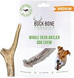 Buck Bone Organics Deer Antler Dog Bones, Premium Grade A - Natural Dog Treat, Made in Montana (Medium)