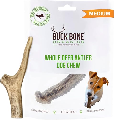 Buck Bone Organics Deer Antler Dog Bones, Premium Grade A - Natural Dog Treat, Made in Montana (Medium)