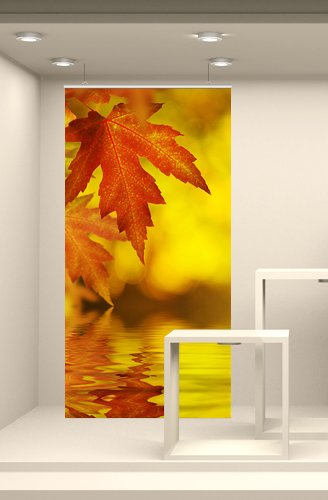 Kina - FNC0086 Fondale vetrina Negozio per Nuova Collezione Invernale Ita Ing - Misure 100x200 cm - Allestimento Interno alla vetrina, retroscena Esposizione Prodott