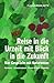 Produktbild Reise in die Urzeit mit Blick in die Zukunft: Vier Gespräche mit Naturwesen (Flensburger Hefte - Naturgeister)