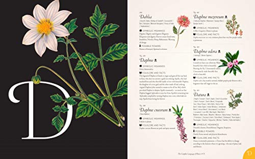 The Complete Language of Flowers: A Definitive and Illustrated History (Volume 3) (Complete Illustrated Encyclopedia, 3) - Image 6