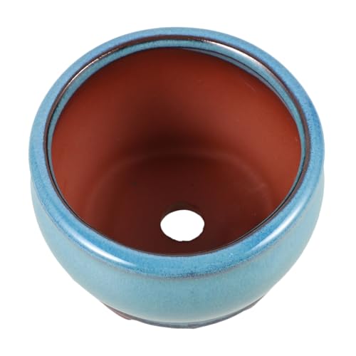 BEBEMOKO Maceta Decorativa para Suculentas Maceta De Escritorio Drenaje Diseño Delicado para Interiores y Exteriores para Plantas Verdes y Decoración del Hogar