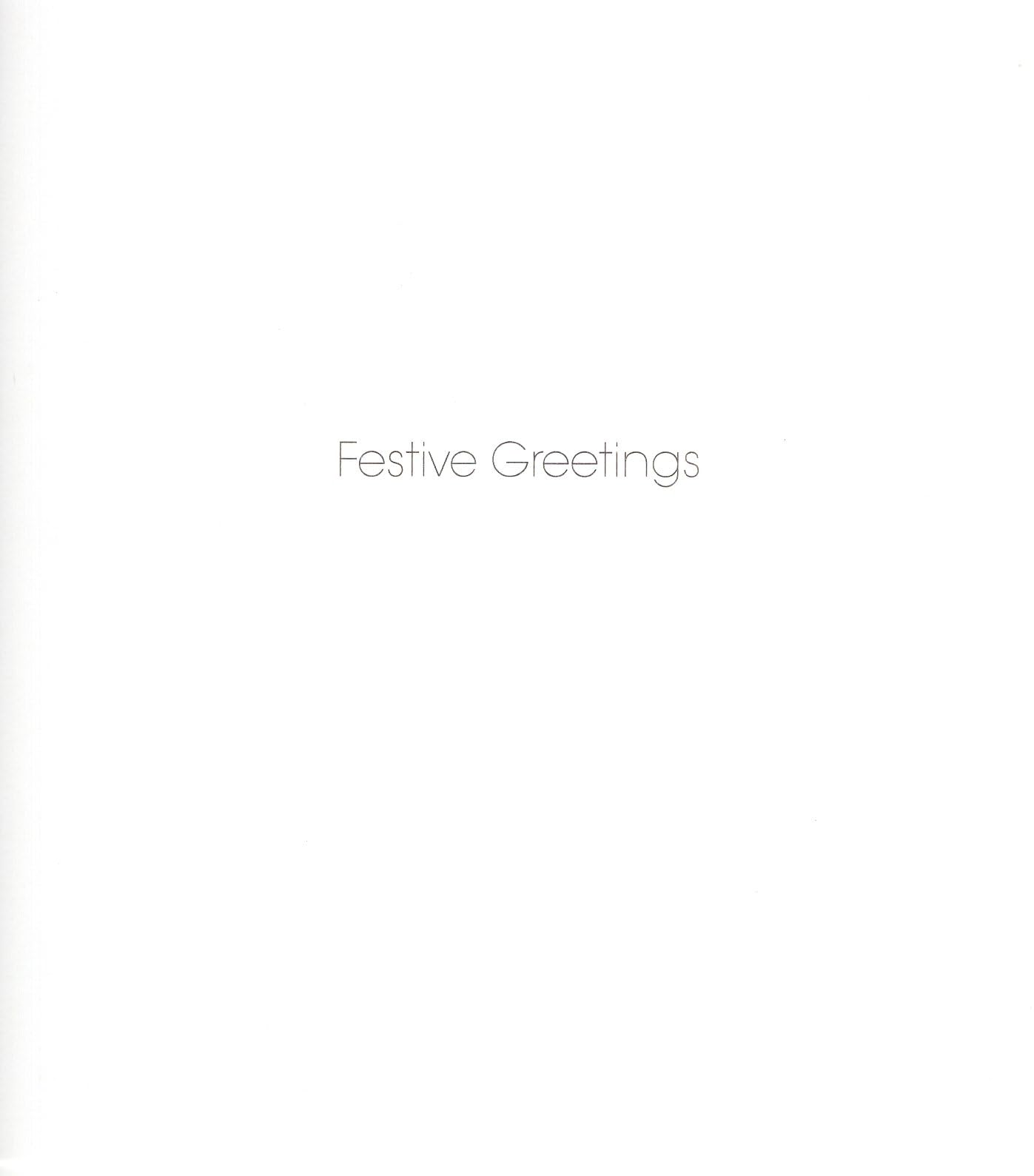 Charity Christmas Cards Pack of 5, Age UK, Marie Curie, BHF, Mind, Artistic Festive Design, Owl on Snowy Branch - Image 3