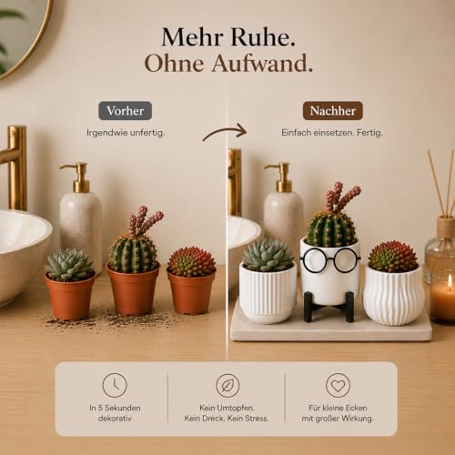 Mini pots de fleurs blancs par 3 pour succulentes de 5 cm - 5