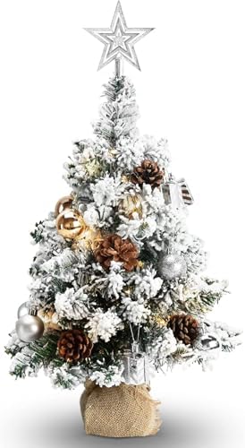 24 Inch Snowy Mini Christmas Tree, Small Tabletop Flocked Tree wi...