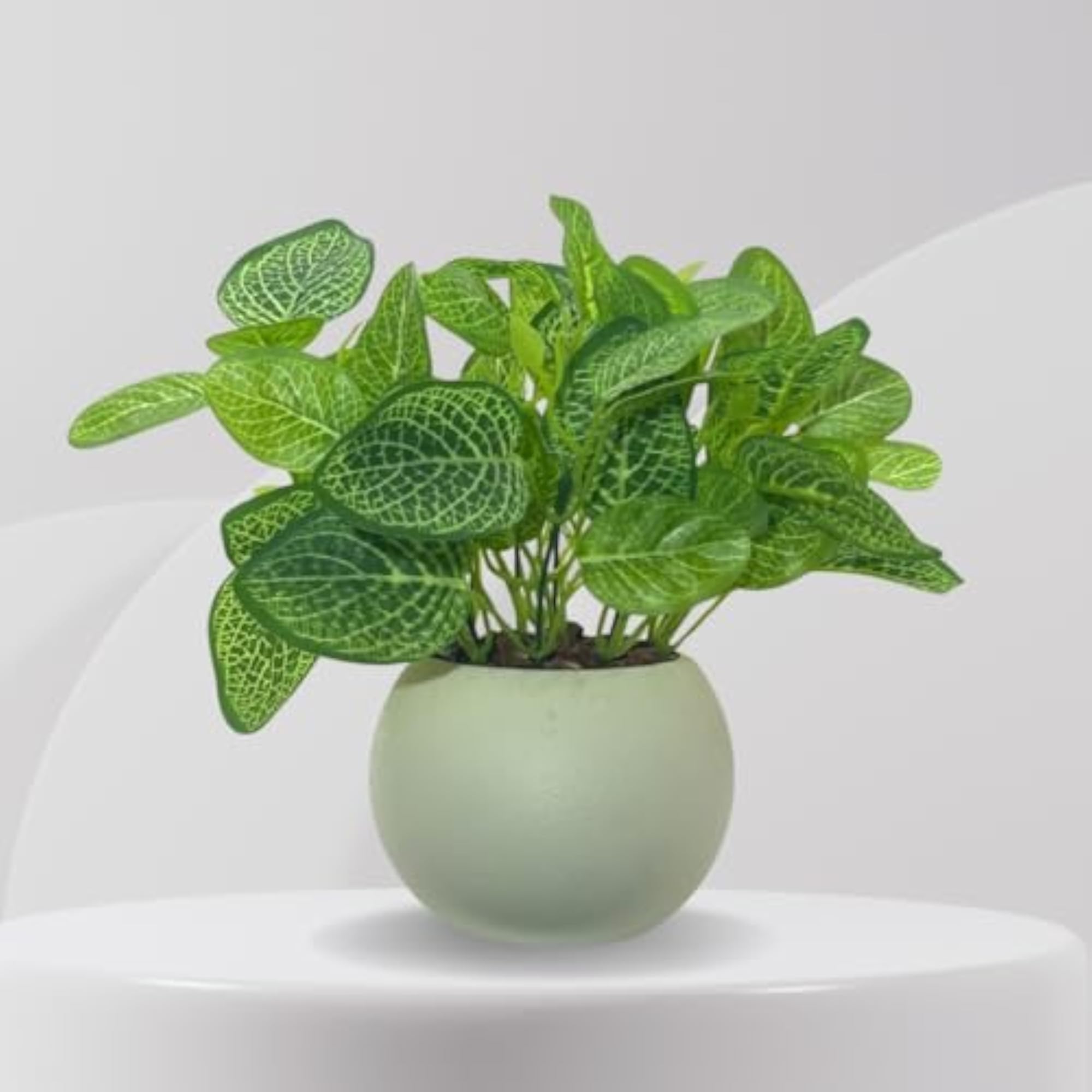 Artificial Plants with Pot for Home & Office Decor