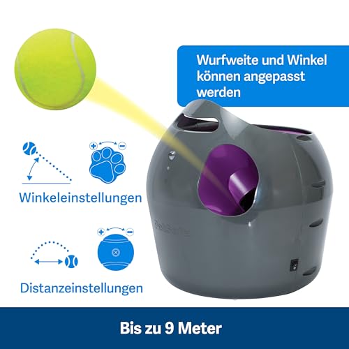 PetSafe Ersatz-Schaumfilter für Drinkwell Keramik- & Edelstahl-Trinkbrunnen 360, Hält Trinkwasser sauber für Katzen und Hunde, 2-Pack