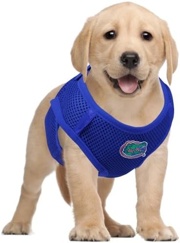 hunter dog harness amazon