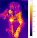 Review Image by Leonid Evenchik Leonid Evenchik