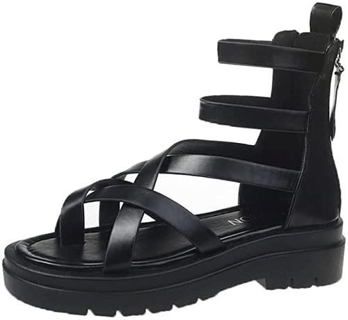 [Godlovefull] OfBG[^[ T_ fB[X  u[cT_ nCJbg O{@^ gOT_ EȂ vbgtH[ r ItBX JWA ~ T}[u[c l  (ubN,25.0 cm)