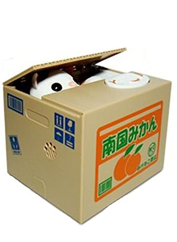 El robo linda del gato del dinero Banco guarro de la moneda con el maullido - Blanco