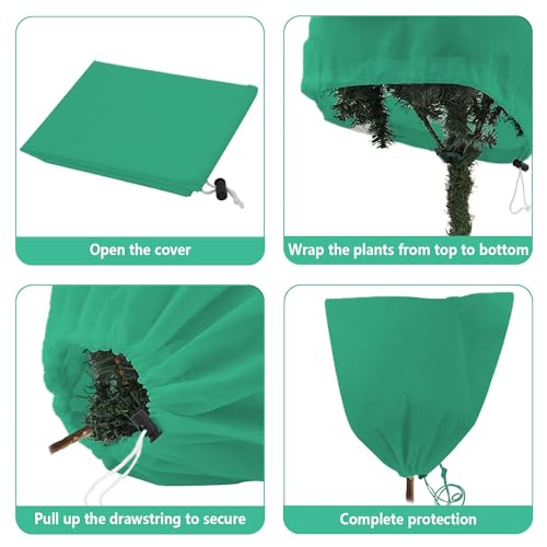 ZEACCT 2er-Pack Frostschutz-Pflanzenschutz, Winter-Kordelzug-Pflanzenschutz, Warmer Pflanzenschutz, Topfpflanzenschutz, Winddichter Pflanzenschutz, Vliesstoff, Wiederverwendbar (Grün)