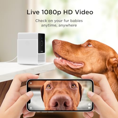 Image of Petcube Cam and Care Coverage [Subscription Required] - Wi-Fi Pet Camera
