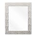 Wall Beveled Mirror Framed - Bedroom or Bathroom Rectangular Frame Hangs Horizontal & Vertical by EcoHome (Overall Size 21x25, Brushed Nickel)