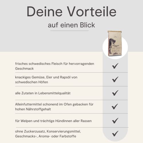 MAGNUSSONs Junior (1 x 10kg) | Hundetrockenfutter für Welpen und trächtige Hündinnen Aller Rassen | Alleinfuttermittel | Hoher Anteil an frischem Fleisch | Ofengebacken