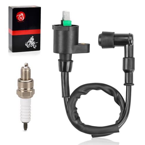 Ignition Coil & Spark Plug For Honda TRX90 TRX90EX Sportrax 90 TR...