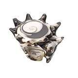 81stgeneration Women's Seashell Shiva Eye Shell Natural White Brown Spiral Ring