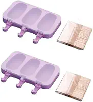 Kit 2 Forma Para Picolé Sorvete Caseiro Silicone + 100 Palitos Tampa DM SHOPP