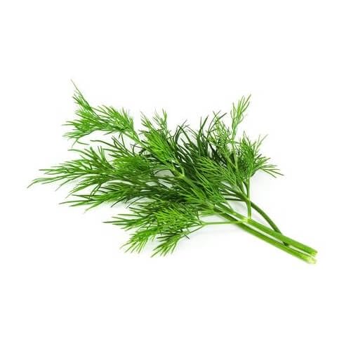 Dill Leaves Bunch 70g (India)