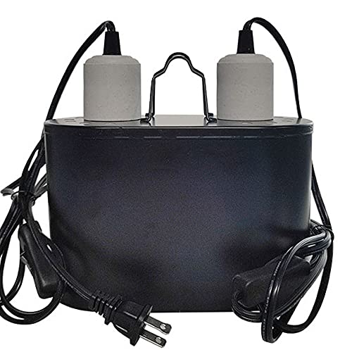 Best bearded dragons Lighting bulbs Top choices in 2022