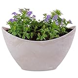 matches21 HOME & HOBBY