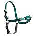 PetSafe Easy Walk Dog Harness, Teal/Gray, Medium