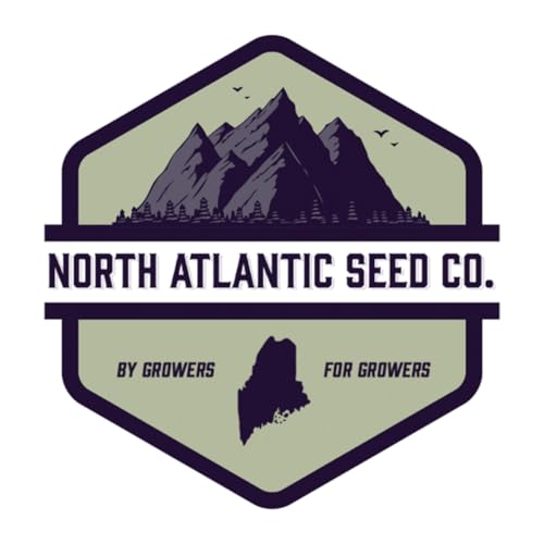 『NASC CAST』のカバーアート