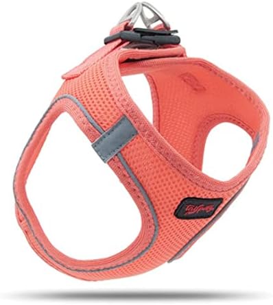 Tailpetz Step-in Breathable Airmesh Vest Harness, Reflective Soft Padded Harnesses for Cats Puppies Small and Medium Dogs (Salmon, L)
