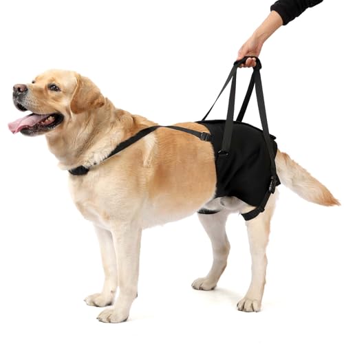 Image of NOYAL Dog Lift Sling for Large Dogs - Hind Leg Support Harness for Senior, Injured, Disabled Dogs, Rear Leg Mobility Aid, Padded Handle for Stairs, Car, Walk