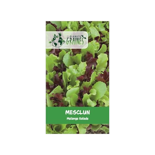 500 Graines de mesclun Mélange de jeunes pousses pour salades variées - facile à cultiver - croissance rapide