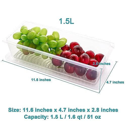 Clazkit Plastic Food Storage Containers,Fridge Organizer For Keep Fruits, Vegetables, Meat, Fish Fresh And Dry-1500 Ml - Pack Of 2, Transparent