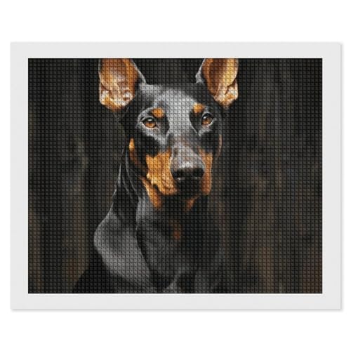Peinture diamant 5D Doberman kit art diamant carré complet
