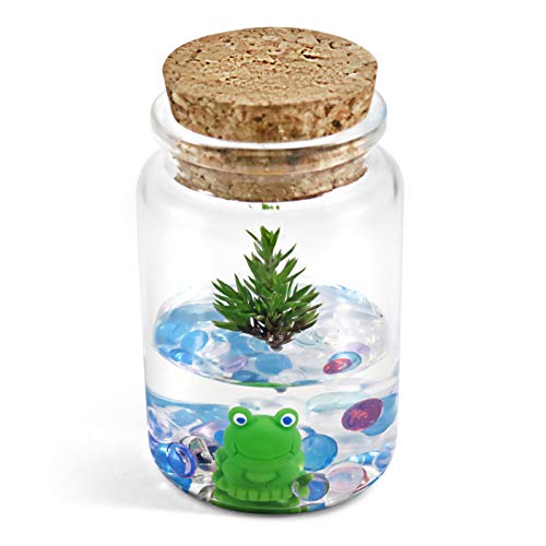 Live Tree Terrarium, Dwarf Japanese Garden Juniper X Frog, Real Live Plant, Maintenance Free #TOP2