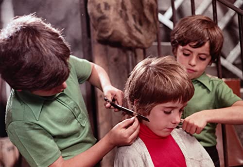 Image of Francois Truffaut Collection
