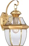 Quoizel NY8316B Newbury Outdoor Wall Lantern Wall Mount Lighting, 1-Light, 150 Watt, Polished Brass
