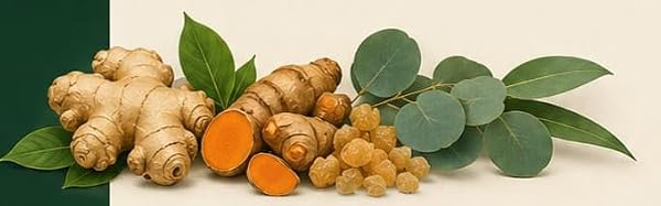 Stushey & Co. Turmeric Ginger Botanical Body Oil with Frankincense - 1