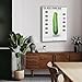 Penis Size Range And Average Guide Andrology Poster 2 Canvas Painting Posters And Prints Wall Art Pictures for Living Room Bedroom Decor 24x36inch(60x90cm) Frame-style