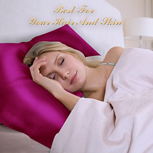 Smbeope 100% Mulberry Silk Pillowcase 2 Pack For Hair And Skin,With Hidden Zipper,Both Sides 22 Momme Natural Silk Pillow Cover,Soft Breathable & Smooth (Wine Red, Standard) #TOP4