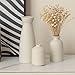 Distressed Ceramic Vase Set of 3, Modern Bohemian Farmhouse Home Decor, Pampas Grass Dried Flowers Vases for Living Room, Dining Room, Bedroom, Kitchen, Bathroom, Office, Entryway (Beige)