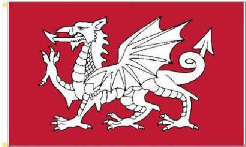 House Flags British White Dragon Of England Red Flag With Eyelets Banner Decorative Garden Flag For Indoor Lawn Home Decor 3X5Ft