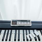 BEATBIT Piano Notes Guide for Beginner, Removable Piano Keyboard Note Labels for Learning, 88-Key Full Size, Made of Silicone, No Need Stickers, Reusable and Comes with Box (Classic Black Pro）
