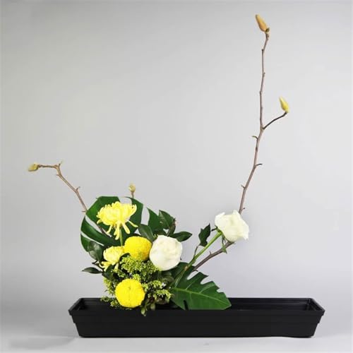 Plateau en polypropylène pour plantes robuste et durable pour aménagement - 5